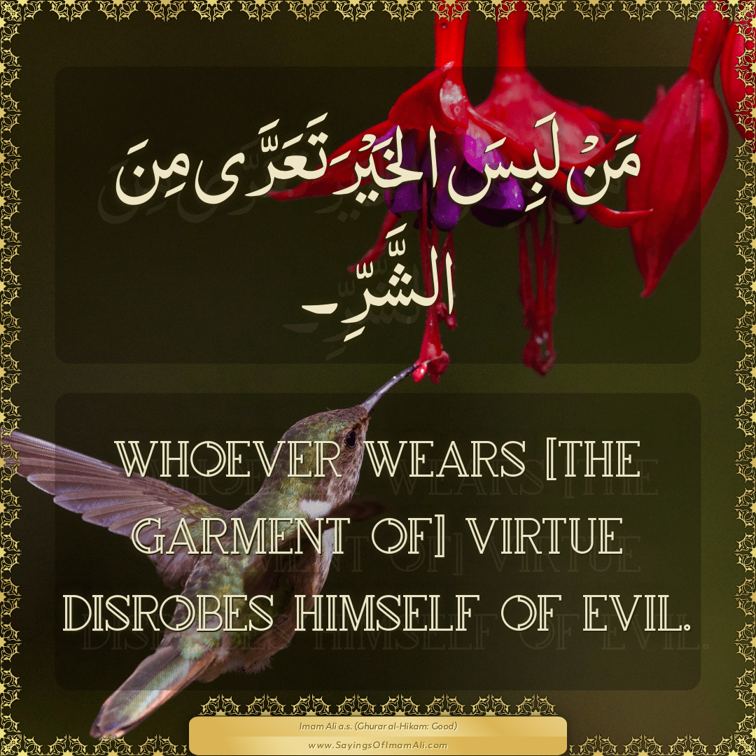 Whoever wears [the garment of] virtue disrobes himself of evil.